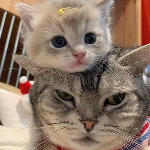 性XXXⅩ❌❌m免费
